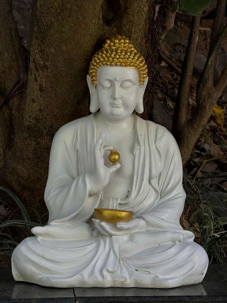 Image00002